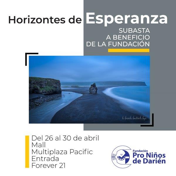 SUBASTA SILENCIOSA :  "HORIZONTES DE ESPERANZA".