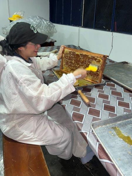 Proyecto Apícola - Proceso de preparación de miel de abeja.