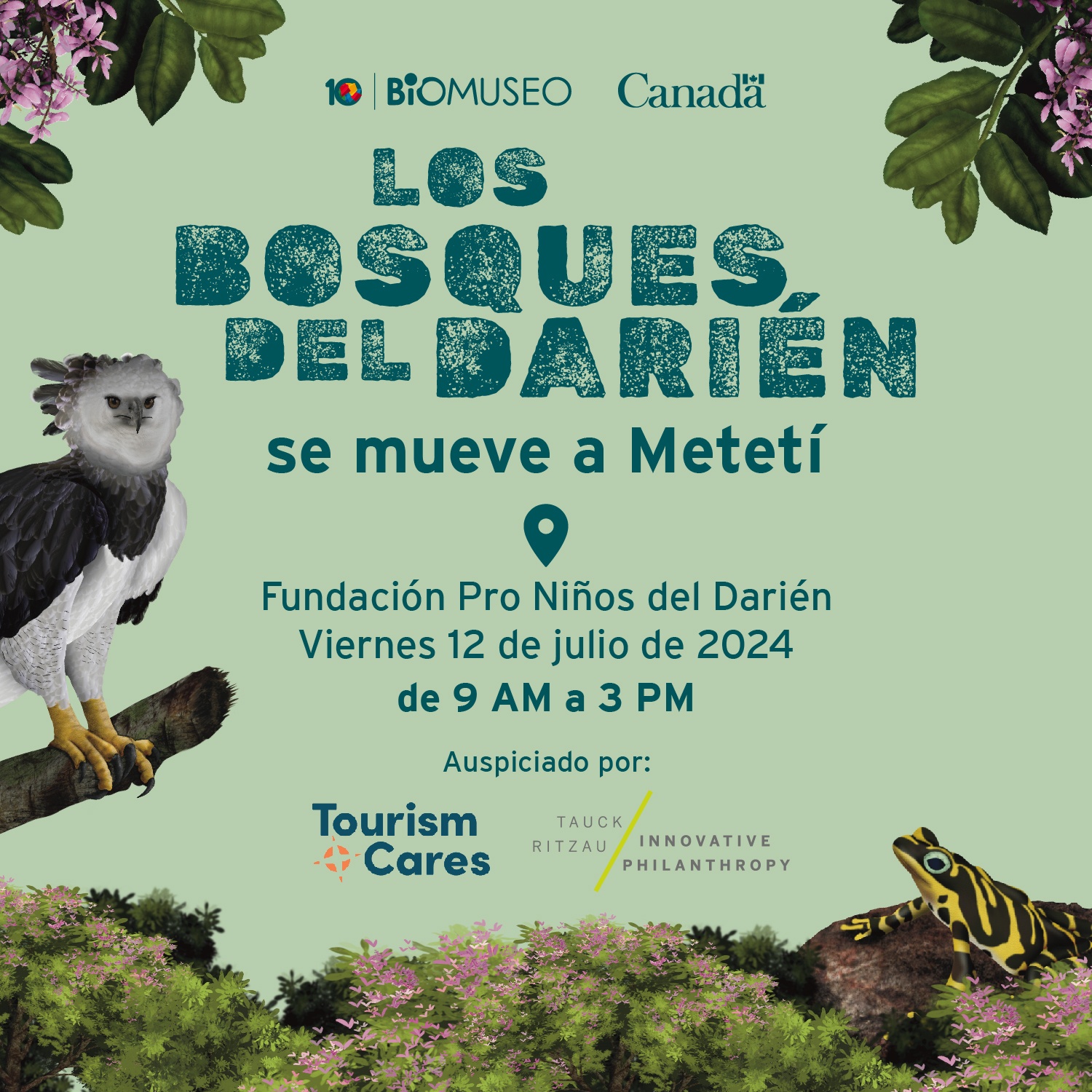 Exposición de los Bosques de Darién del Biomuseo en Metetí.